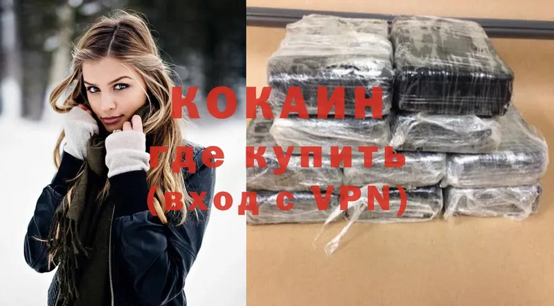 ссылка на мегу зеркало  Чебоксары  Cocaine FishScale  купить наркотик 